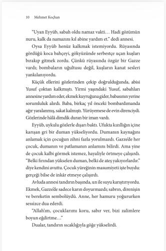 Gazze Bir Çocuğun Direnişi